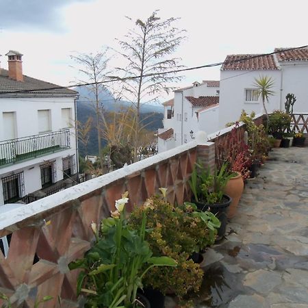 Apartamentos Rurales Jardines Del Visir Genalguacil Dış mekan fotoğraf