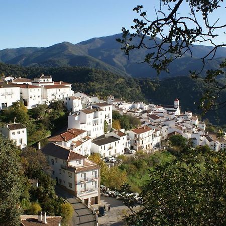 Apartamentos Rurales Jardines Del Visir Genalguacil Dış mekan fotoğraf