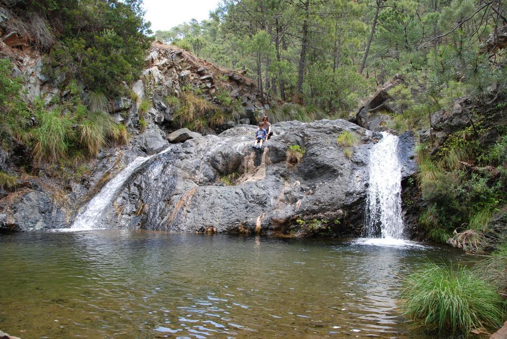 Apartamentos Rurales Jardines Del Visir Genalguacil Oda fotoğraf