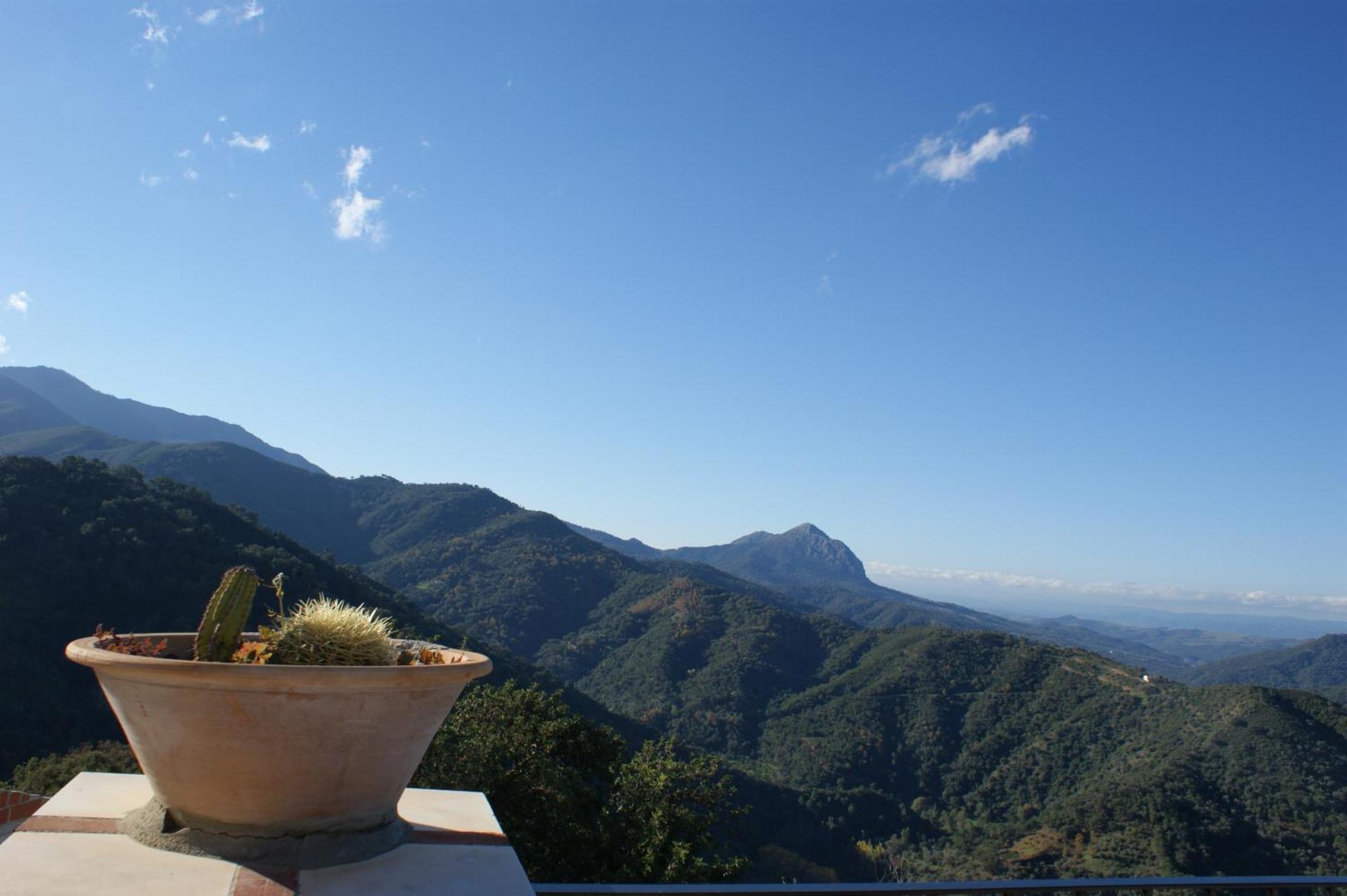 Apartamentos Rurales Jardines Del Visir Genalguacil Dış mekan fotoğraf