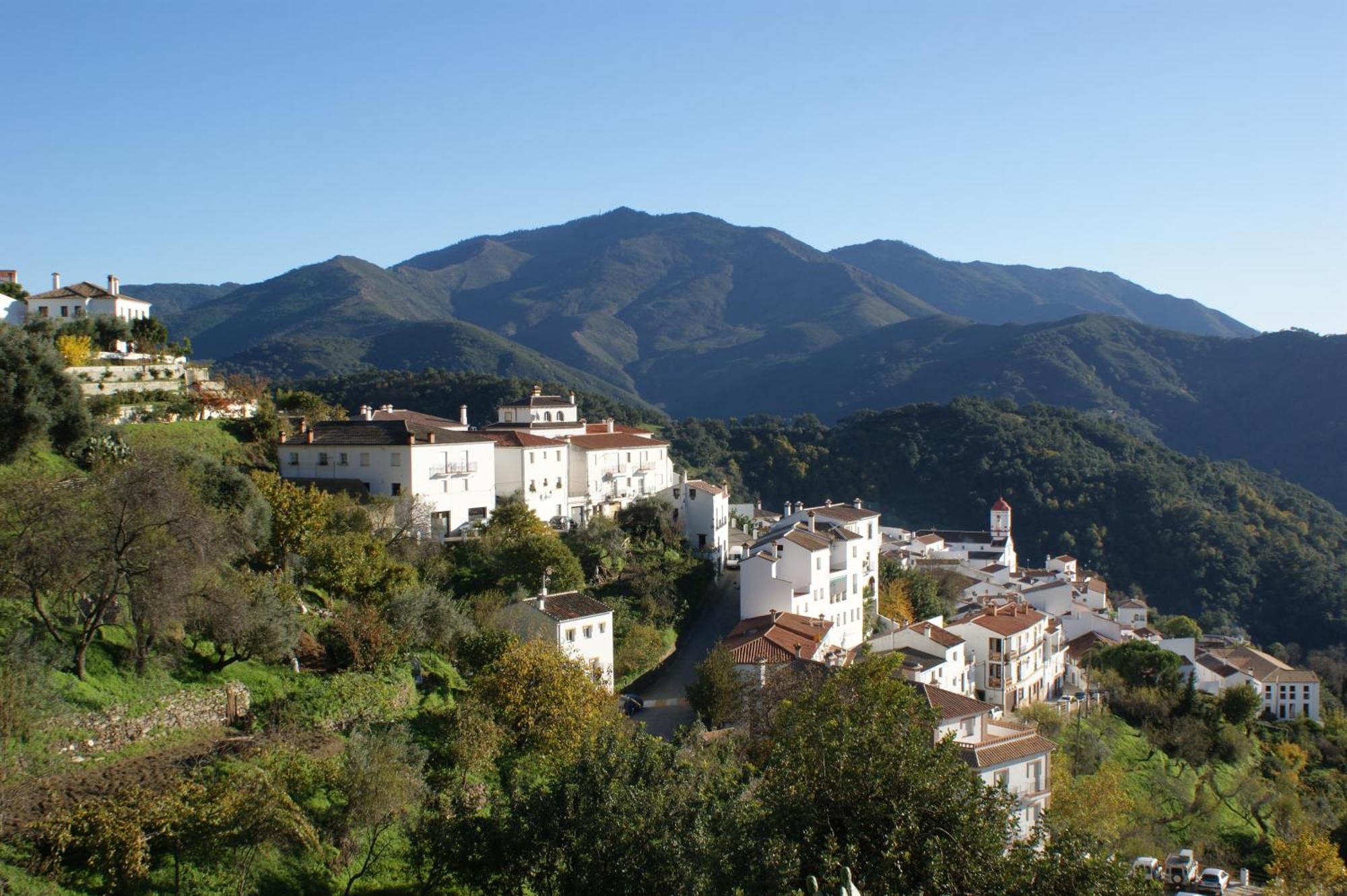 Apartamentos Rurales Jardines Del Visir Genalguacil Dış mekan fotoğraf