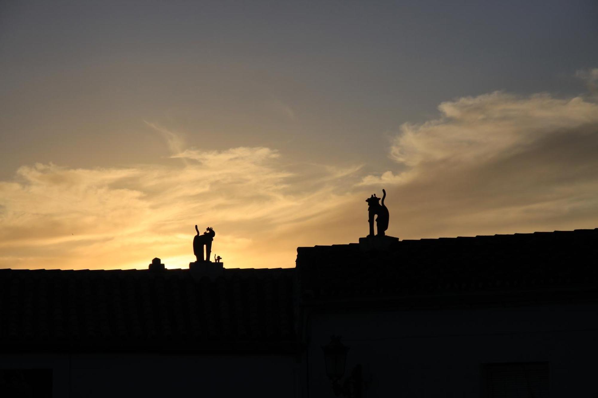 Apartamentos Rurales Jardines Del Visir Genalguacil Dış mekan fotoğraf