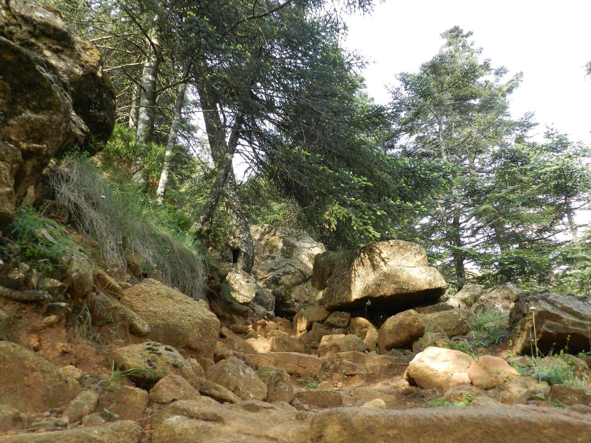 Apartamentos Rurales Jardines Del Visir Genalguacil Dış mekan fotoğraf