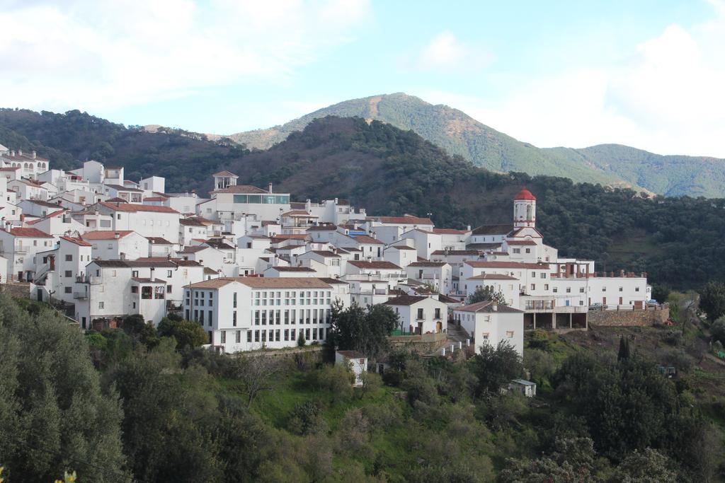 Apartamentos Rurales Jardines Del Visir Genalguacil Dış mekan fotoğraf