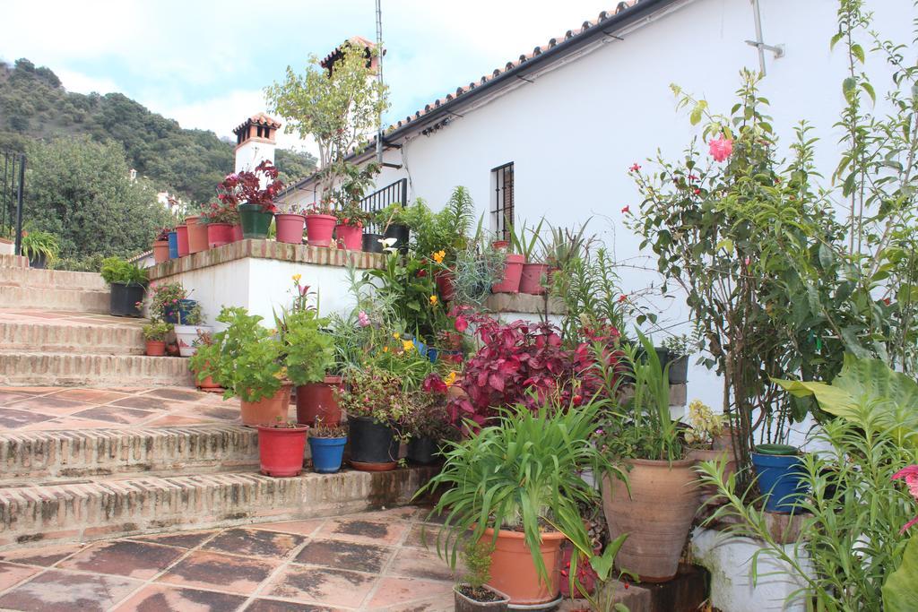 Apartamentos Rurales Jardines Del Visir Genalguacil Dış mekan fotoğraf