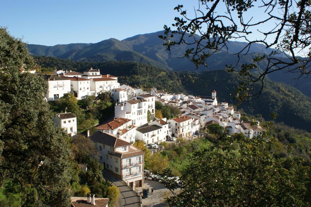 Apartamentos Rurales Jardines Del Visir Genalguacil Dış mekan fotoğraf