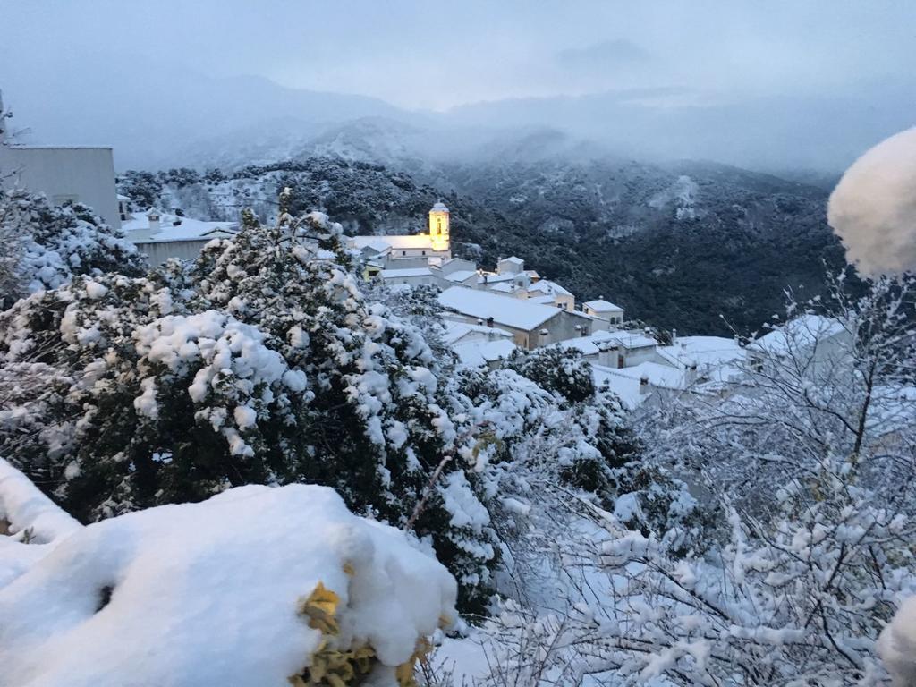 Apartamentos Rurales Jardines Del Visir Genalguacil Dış mekan fotoğraf