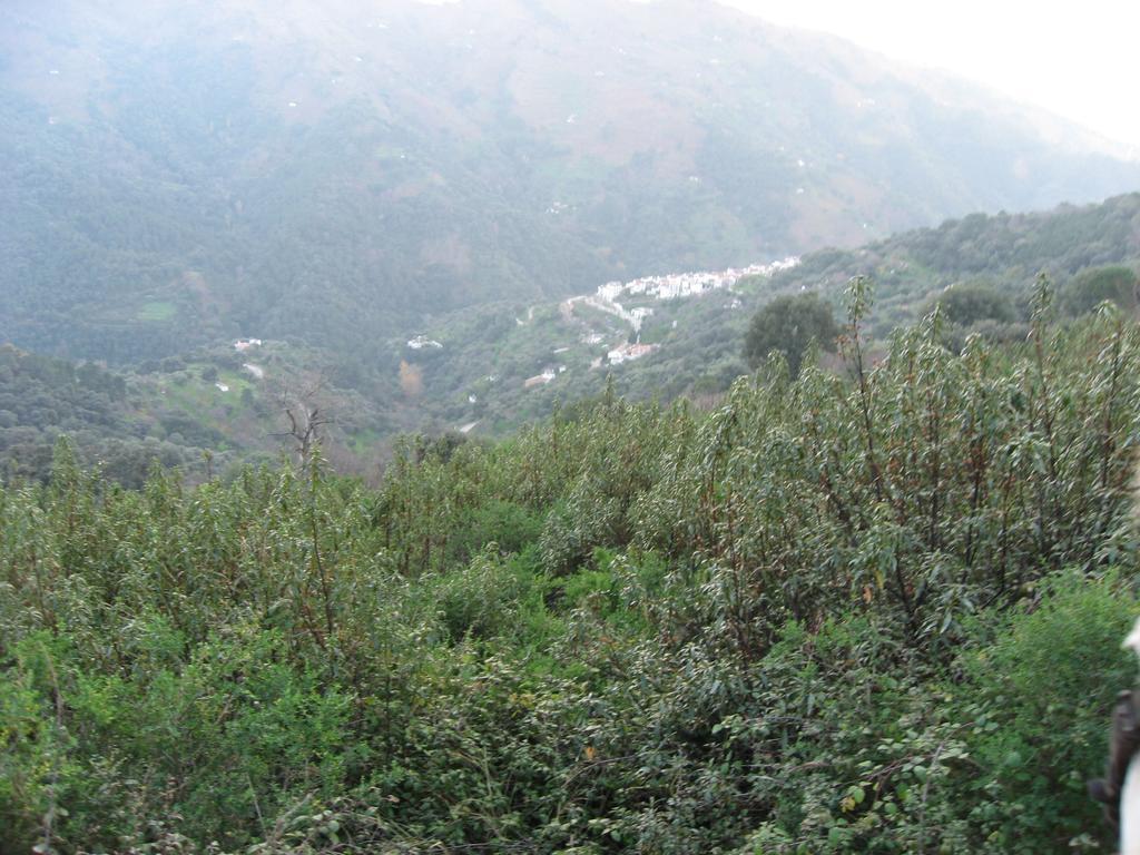 Apartamentos Rurales Jardines Del Visir Genalguacil Dış mekan fotoğraf