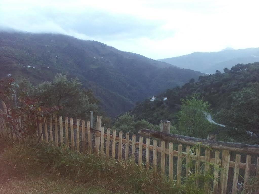 Apartamentos Rurales Jardines Del Visir Genalguacil Dış mekan fotoğraf